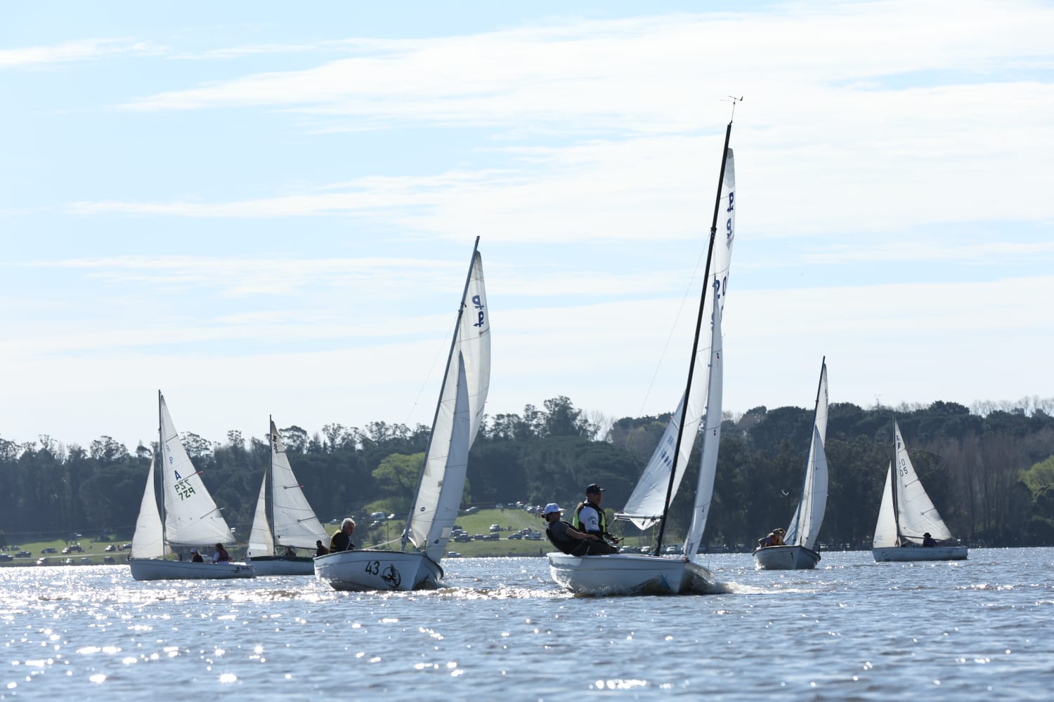 Veleros en regata AUN